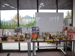 地連ゴルフコンペ (35)