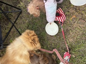 青年部.主婦の会BBQ大会 (6)