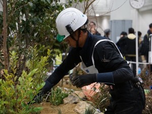 技能グランプリ（造園の部） (3)