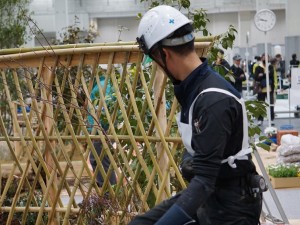 技能グランプリ（造園の部） (2)